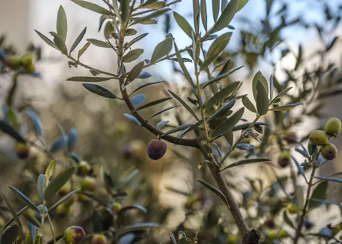 酒店 Serra D'aire Boutique - Sa 3*